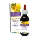 Naturalma Great Mullein nebo Common Mullein (Verbascum thapsus) Flower and Leaf Alcohol- Free Tincture - 4 fl oz Liquid Extract in Drops - Bylinný dodatek - Vegan