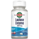 Kal Laktáza Enzyme 250 mg, Zdravá potrava Podpora pro intoleranci laktózy, Liquid- Filled Activigels Made Without Soy, 250 FCC jednotek, 30 Servings, 60 SoftGels