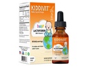 Kiddivit Baby Lactoferrin Liquid Drops - Gentle Imunitary Supplement - 100mg Formule s prebiotickým inulinem - 60 Denní služby - Cukr zdarma, gluten zdarma, Vegetarián, 2oz