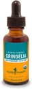 Herb Pharm Grindelia Liquid Extract for Respirační systém Support - 1 Ounce (DGRIND01)