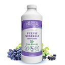 Poklad pohřben Fulvic Minerály Grape Ochucené - Koloidní Minerály z Humic Fulvic Acid, Elektrolyty z Trace Minerály pro obnovu a Wellness Podpora. Přidat do vody - 32 Služeb