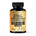 Shilajit 10,000mg, Irish Sea Moss 2000mg, Ashwagandha 3000mg, Tongkat Ali 30,000mg, Boron, Magnesium, PQQ & More IR 124; 60 Kapsle - 30 dní Dodávka 124; Fulvic Acid Veg Kapsle 124; Veganské 124; Gluten zdarma 124; Non- GMO