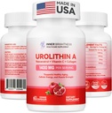 Urolithin A dodatek 1400 MG - Non- GMO, gluten- Free, Anti- Aging, Buněčná obnova, Svalová síla, Vytrvalost & Dlouhověkost Podpora, Liposomální Urolithin A, 60 Počet