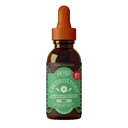 Byliny Etc. Chloroxygen Chlorofyl koncentrát - vysoce koncentrovaná energetická podpora - AIDS Zdravý krevní oběh - Natural Vitality Support - Alcohol- Free - 1 fl oz, Mint (O 66 Služeb)