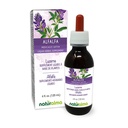 Naturalma Alfalfa nebo Lucerne (Medicago Sativa) bylina s květinami Alcohol- zdarma tinktura - bohaté na přírodní chlorofyl - 4 fl oz tekutý extrakt v kapkách - Bylinný dodatek - Vegan
