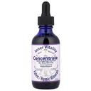 Vnitřní vitalita, koncentrát, Fulvic / Humic Minerals, 2 fl oz