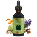 Přejít Nutrients střevní hrana - Gut Cleanse pro lidi s Wormwood, Black Walnut, Clove - Detox Liquid pro ženy, muže, děti a dospělé - Organická bylinná podpora pro potravu & Wellness - 2oz