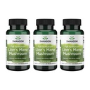 Swanson Lion 's Mane Houba - Tradiční doplněk Brain Booster Vyrobeno z Hericia Erinaceus (60 Kapsle, 500mg každý) 3 Pack