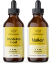 HERBAMAMA Herbal Liquid Drops Kit - Bundle of Dandelion Root and Mullein Leaf Tincture 4 fl oz - Vegan, Non- GMO, Sugar & Alcohol- Free - 2 Pack