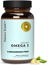 Budoucnost Druh Omega33 Dodatek pro Clarity, Paměť, a mobilita Comfort, 2 měsíce Dodávka Citrus- Scentged Softgels s EPA a DHA, Vegan Omega33 Dodatek z Řasy, Karagenan zdarma, 60 Počet