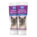 Petag vitamin & minerální gel dodatek pro kočky - 3,5 oz, balení 2 - Poskytuje základní denní vitamíny & minerály pro kočky 4 měsíce a starší - Snadno se digest