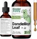 Navždy štěňata listové kapky pro psy - Ledviny Zdraví tekutý dodatek pro velké, střední a malé psy - Ledviny čištění Detox Kapky w / Pampeliška listy tinktura - 2 oz