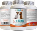 Dog Amino Acid doplňky - Dog LYSINE prášek - čistý prášek forma - Podpora imunitního systému - Vet Doporučené - lysinové psy - 1 láhev (8oz 226.8 Grams)