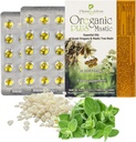 Oreganic Plus Mastic - Oregano Essential Oil Kapsle & Chios Mastic Gum Oil - Wild Oregano Oil Kapsle Organic - Imunitní Booster and Intestinal Support - Non- GMO - 30 Count Blister
