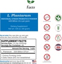 Potraviny pro Gut Lactobacillus Plantarum Probiotic Powder 400 Billion cfu 's FLA124; Vyrobeno v USA 124; No Additives FLA124; Direct from Manufactur124; No Third- Party Storage 124; Imunitary Support FLA124; 30 Grams (1.05 Oz)
