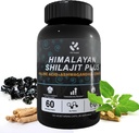 Shilajit Himalayan dodatek 60% Fulvic Acid, 120 Vegan Kapsle Dodávka s čistou přírodní Shilajit, Ashwagandha, Ginseng Extract - High in Trace Minerály pro muže Energy Support