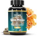 Ekologické Irish Sea Moss Kapsle - Advance Formule, Raw Wildcrafted Seamoss Dodatek s Bladderwrack a Burdock Root - 180 pilulky - Vyrobeno v USA