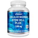 Celulas Madres 60 Kapsle Vitamisan 1000 mg Aphanizomenon Flos- aquae Blue Green Algae AFA Stem Natural Cell