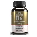 VIT B- 6 TABS 100 MG WMILL 100