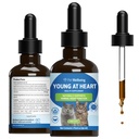 Pet Wellbeing Young at Heart for Cats - Vet- Experted - Heart Health, Circulatory & Kardiovaskulární systém, Hawthorn, Motherwort, Schisandra - Bylinný dodatek 2 oz (59 ml)