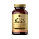 Solgar Oceanic Silica from Red Algae 25 mg, 100 Zeleninové kapsle - Výborný zdroj vápníku, podporuje zdraví kostí - Non- GMO, Vegan, Gluten zdarma, mlékárenské zdarma, Kosher - 50 Služeb