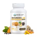 Společný doplněk imunitní podpory, patentovaný míchaný kurkumin C3 komplex s Black Pepper, Boswellia PS Extract & Ginger, Fast- acting 20 minut, 8-Hodina trvalá verze, 120 Kaplety - Sanjevani