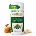 Beelife Green Propolis Capsules - 100% Green Propolis a Bee Pollen Capsule Supplement- Propolis Extract, Authentic Brazilský - Certified ISO 22000, Kosher (120 Kapsle)