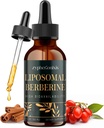 Lipozomální Berberine drops dodatek 3000mg - High Absorption AMPK Activator, Organic Berberine HCl Complex with Ceylon Cinnamon & Ginger for Imunity & Digestion (2 fl oz)