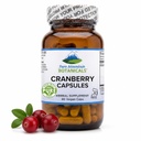 Čisté horské botaniky Cranberry pilulky Kosher Vegan Kapsle s 400 mg Cranberry koncentrát Extract Dodatek