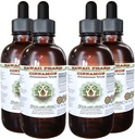 Skořice Alcohol- Free Liquid Extract, Skořice (Cinnamomum Verum) Sušený Bark Glycerite Hawaii Pharm přírodní bylinný doplněk 4x4 oz