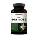 Irish Sea Moss Kapsle, 3,000mg per Serving, 240 Veggie pilulky 124; Vyrobeno s organickým syrovým práškem, Plus Bladderwrack & Burdock Root, Sea Zeleninové Komplex - Imunní & štítné žlázy Superfood Support - Non- GMO