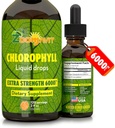 Chlorofyl kapalné kapky 100% organické Vegan - Energie a imunitní systém Booster doplněk s mátou Flavor pro vodu - Přírodní vnitřní deodorant - Extra síla 6000mg 120 Služební