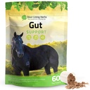 Silver Lining Byliny Gut Support Koňské doplňky - Gut Health & Digestive Doplněk pro koně - Potenciální potravní podpora Bylinné mísení lékořice, Slippery Elm & Více - 1 LB 60- denní zásobování
