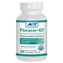Floracor - Podporuje Gut & střevní zdraví - Premium Probiotická, Prebiotická a enzymová formule - 60 Vegetariánských kapslí