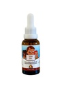 Punkin Butt Baby Ušní olej 124; Organic Garlic, Mullein, Calendula Ušní kapky bezpečné pro kojence (1 oz)