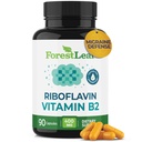 ForestLeaf Vitamin B2 Riboflavin 400mg - Energie, kůže a buněčný doplněk zdraví - Podpora nervového systému - Vitamin B 2 VIT B - Non- GMO & gluten zdarma - B2 Vitamin 400mg Zeleninové kapsle, 90 Počet