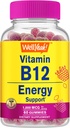 WellYeah Vitamin B12 1000mcg Gummies - pro energii, nálady, metabolismus a imunitní systém podpora - Vegan Friendly and Gluten- Free, GMO Free and Doctor Doporučené - 60 Gummies