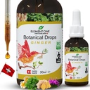 Přírodní botanické kapky - zázvorové a trávicí enzymy v organické formuli pro komplexní wellness, podpůrný imunitní systém, podpora pojivové úlevy a zvýšení krevního oběhu (50ml)