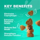 No Poo Chewables for Dogs - Enzymy, Dog Probiotics for Digestive Health - Canine Digestive, Gut & Imunitary Health Supplement
