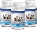 močový měchýř reliéf pes - DOG URINÁRNÍ TRACT PODPORA - NATURAL CRANBERRY SOLUTION - BLADDER ZDRAVÍ - VET DOPORUČUJE - dog brusinkový doplněk prášek - 3 Lahvička (270 procedur)