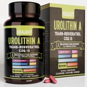 Urolithin Dodatek pro městské pracující ženy: Anti- Aging Kapsle s Trans- Resveratrol a CoQ10 - USA Laboratoř ověřená podpora zdraví stárnutí a obnova buněk 9in1