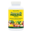 Natures Plus Zdroj života Prenatal - 800 mcg Folát, 90 Vegetariánských tablet - Všechny přírodní Prenatální vitamíny & Minerály se železem & vápníkem - Optimální zdraví & Energie - Gluten- Free - 45 Služeb