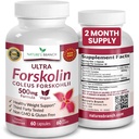 Ultra čistý forskolin pro řízení hmotnosti Maximální síla 124; Coleus Forskohlii Root Extract Powder, 40% Standardizovaný Lean dodatek pro muže a ženy 124; Premium Extreme Boost Complex - 60 Kapsle