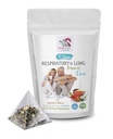 Respirační vitamíny - RESPIRATORNÍ A LUNG PODPORA TEA 14 dní s skořicí, ibišek, marshmallow Root, Astragalus, Peppermint, eukalyptus čaj list 1 balení 14 čajové tašky