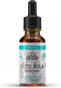 Gotu Kola Tincture, Organic Gotu Kola Extract, Gotu Kola Drops (Centella Asiatica) Sušený Herb