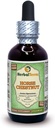 Koňské kaštany (Aesculus Hippocastanum) Glycerit, Organic Sured Nuts Alcohol- FREE Liquid Extract (Značka: HerbalTerra, Proudly made in USA) 2 fl.oz (60 ml)