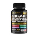 Shilajit Ashwagandha Rhodiola Rosea Panax Ginseng - pro muže a ženy - Shilajit Kapsle - 60 Veggie Kapsle