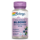 SOLARAY Bilberry Berry Extract 60 mg per Capsule, Výkonný antioxidant, Garantovaná účinnost pro zdravou vizi a podporu cirkulace 120 VegCaps