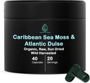 Holistické Bin Organic Moss Kapsle 100% Čisté Karibské moře Moss + Dulse Seaweed 124; Wild Harvested Caps124; No Fillers Az124; Bohaté na antioxidanty, Minerály a jód (40 Kapsle)