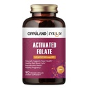 Activated Folate-L 5-MTHF DFE Dodatek - Methylfolát B9 MTHF s vitaminem B12, CoQ10, & Red Raspberry - Methylovaný L- Methylfolát pro muže a ženy - 500 mcg - 90 Veggie Kapsle